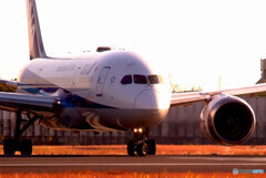 出撃！Boeing 787-8 Dreamliner