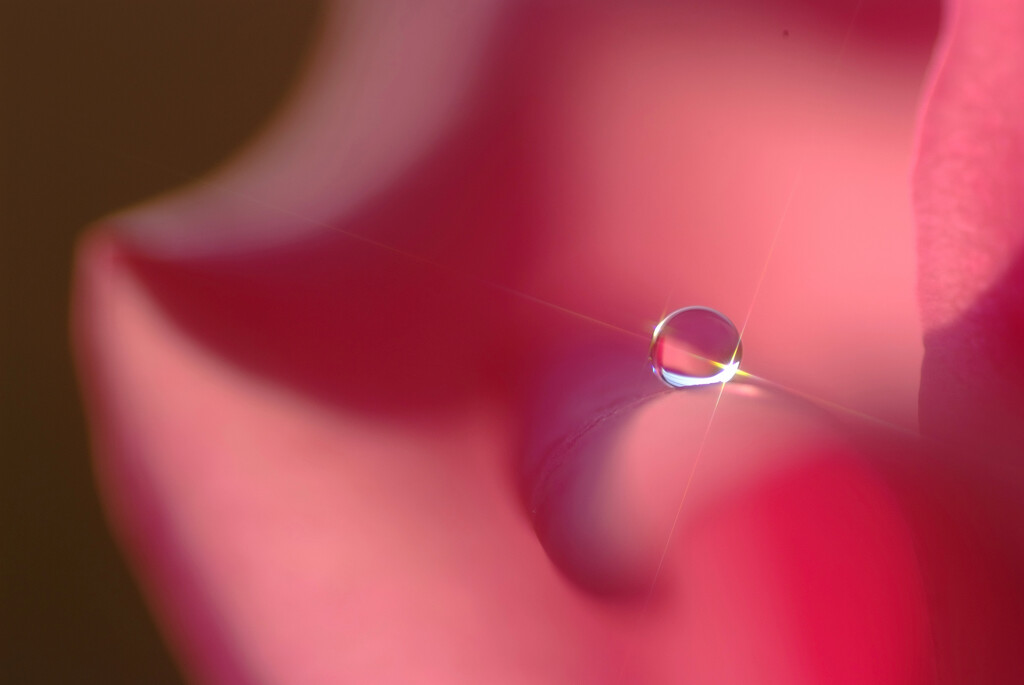 麗月の輝き✿雫