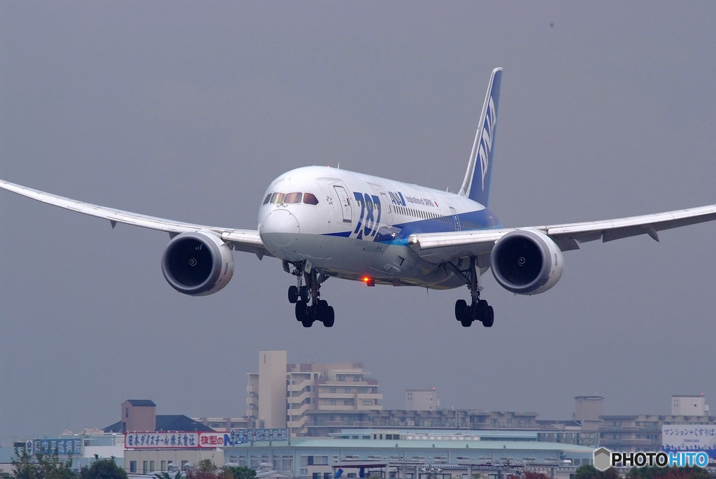 Messenger from the south・787