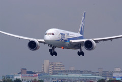 Messenger from the south・787