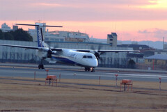 ITMの朝✈ANA Wings