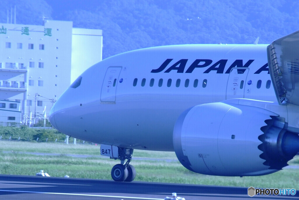 September Morning・JAPAN