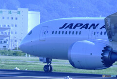 September Morning・JAPAN