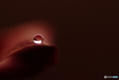 Brand New Day✿想い