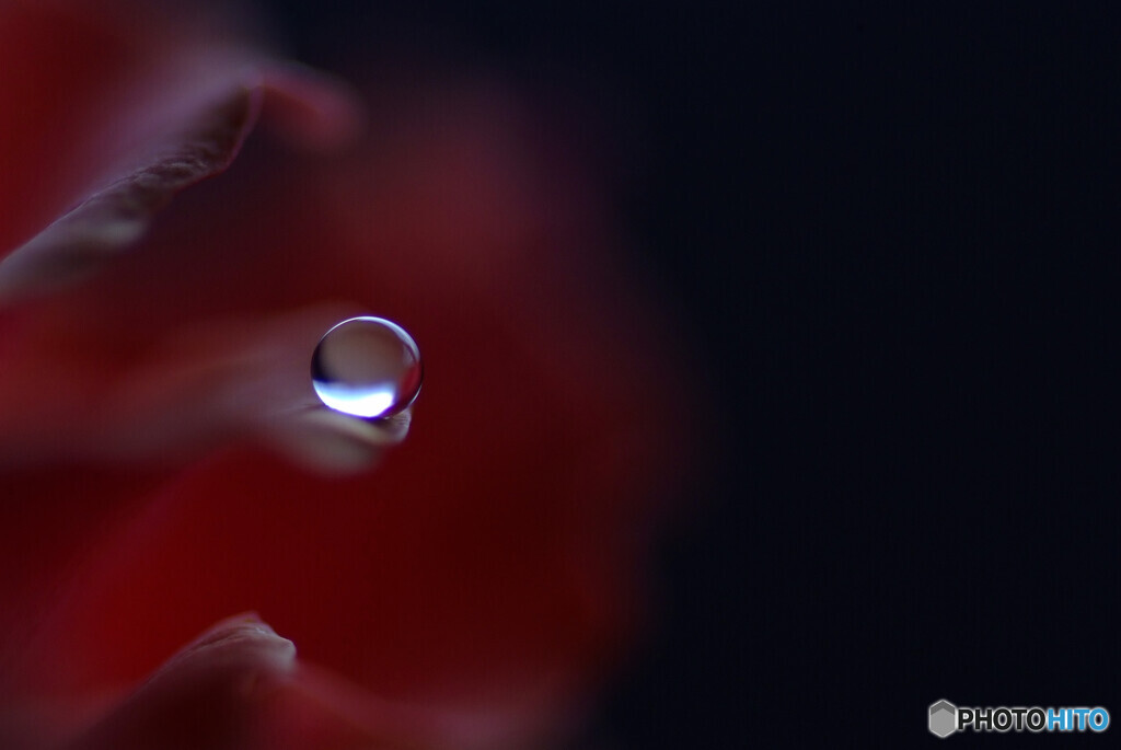 絹更月の惑星✾絆