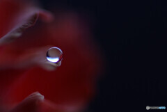 絹更月の惑星✾絆