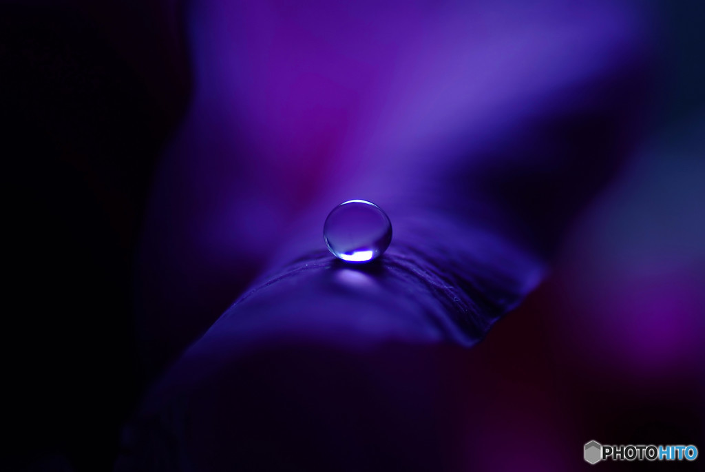 もしも願いが叶うなら