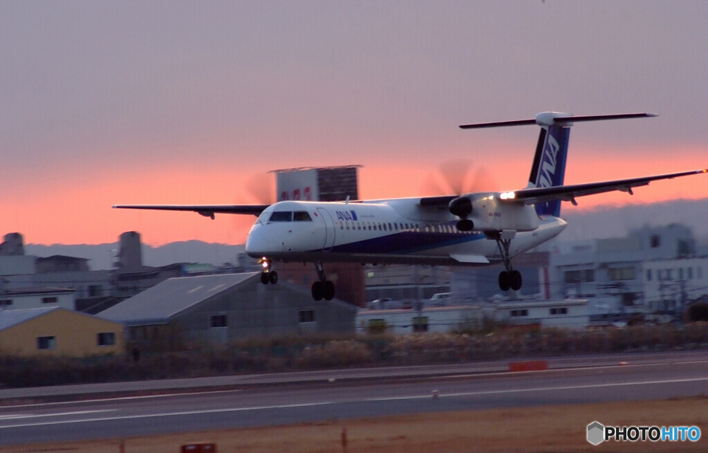 12月の朝✈ANA Wings