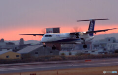 12月の朝✈ANA Wings
