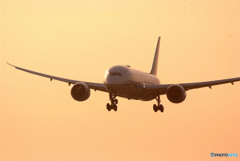 旅立つ君へ・787