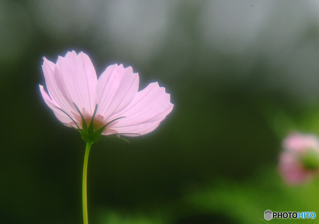 秋の訪れⅡ✿2020