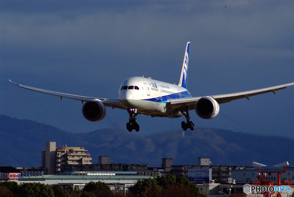 永遠の翼✈787Dreamliner
