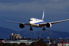 永遠の翼✈787Dreamliner