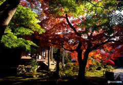 紅葉彩々・秋