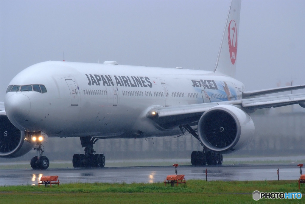 行くぞ！全米決勝へ！