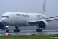 行くぞ！全米決勝へ！