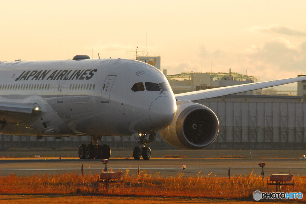 Sunday Morning✈Boeing 787-8