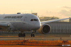 Sunday Morning✈Boeing 787-8