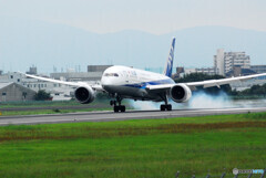 Smoke✈Boeing 787-9