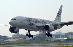 HARADAの空から✈Boeing777