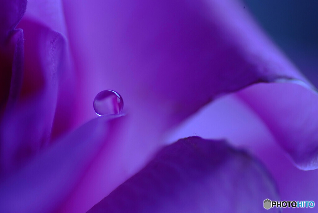 儚くも美しく☂弥生の時