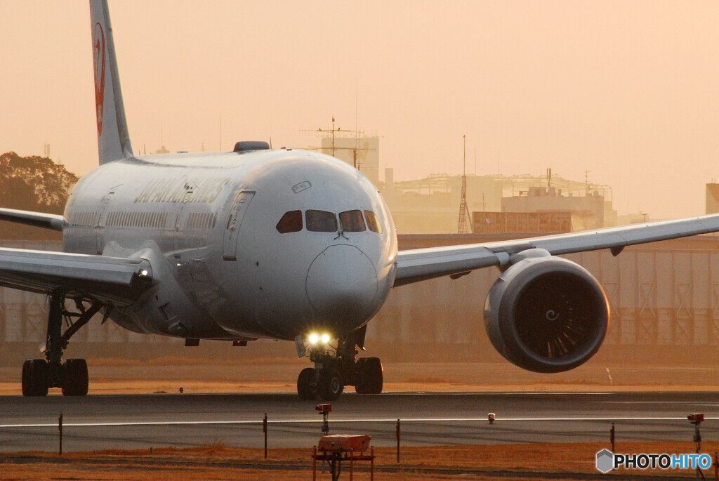 朝焼けの旅路へ✈787Dreamliner 
