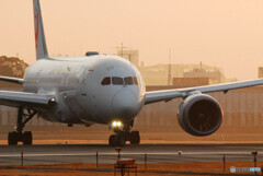 朝焼けの旅路へ✈787Dreamliner 