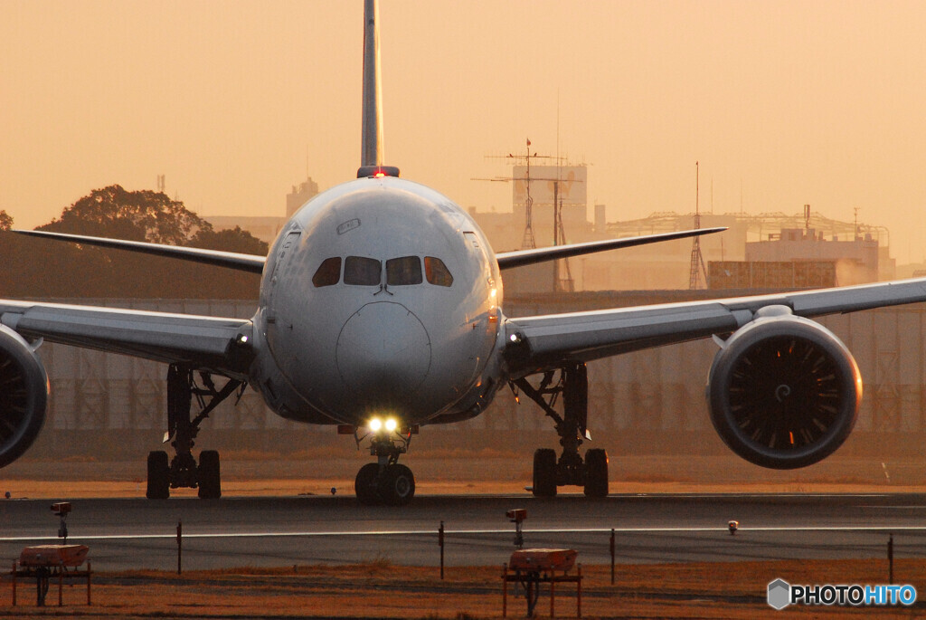 朝焼けの旅路へⅡ✈787Dreamliner 