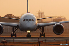 朝焼けの旅路へⅡ✈787Dreamliner 