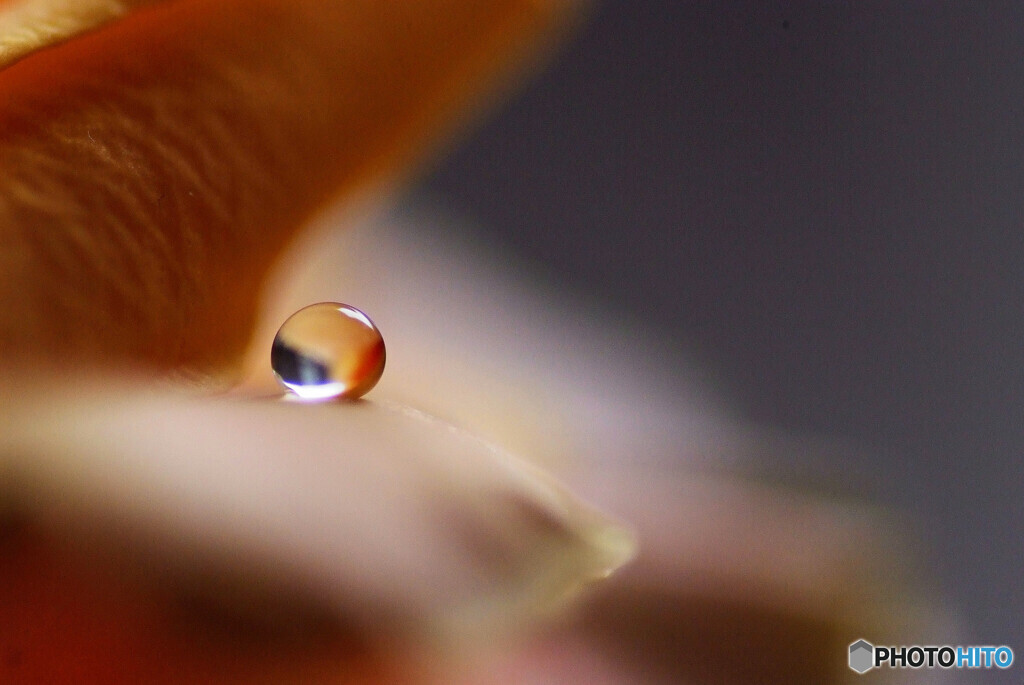 永遠のゼロ✾雫