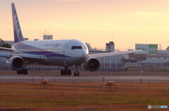 Morning Show✈JA609A