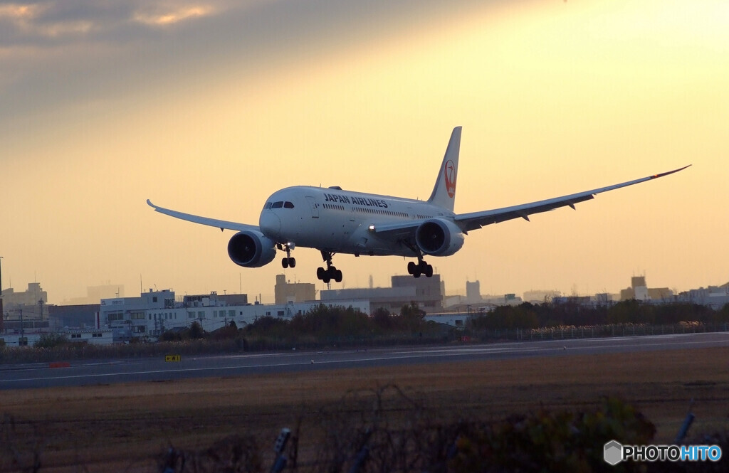 永遠の翼✈Boeing787-8