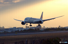 永遠の翼✈Boeing787-8