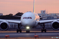 GOLDEN TIME Ⅱ✈JA848J