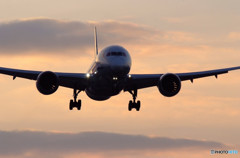 Morning★Star・787