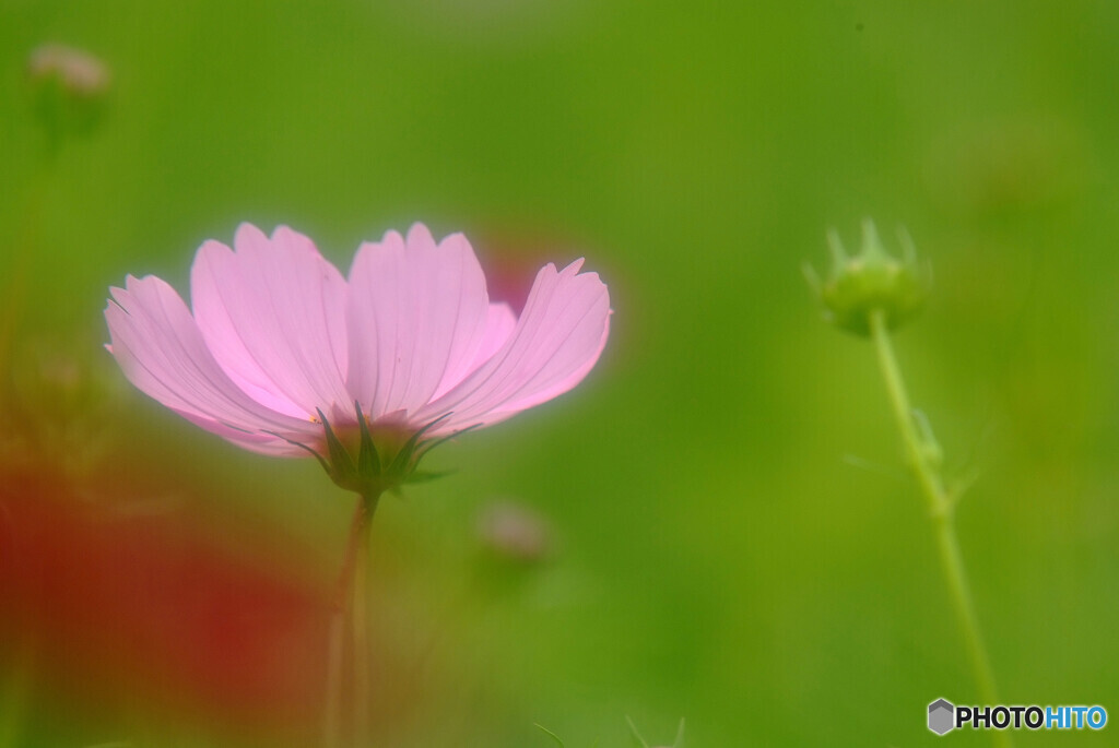 秋の訪れⅢ✾2020