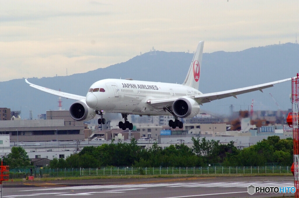 Nice Holiday✈Boeing787-8