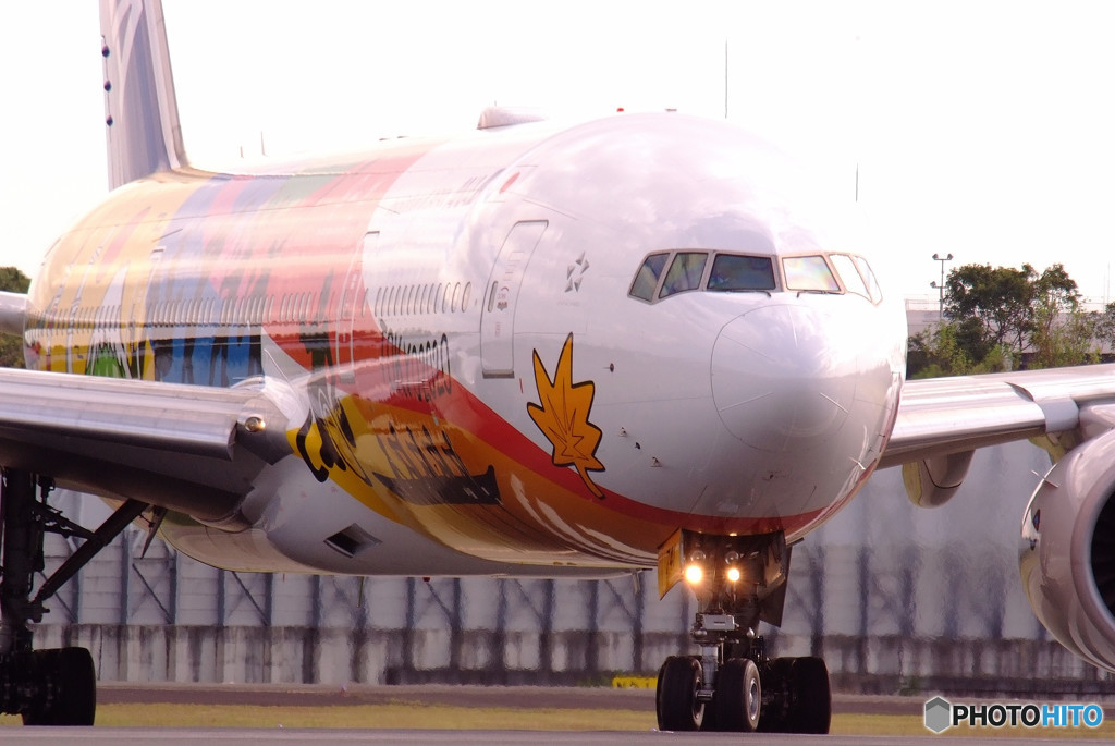 秋旅Ⅷ・飛行機に乗って