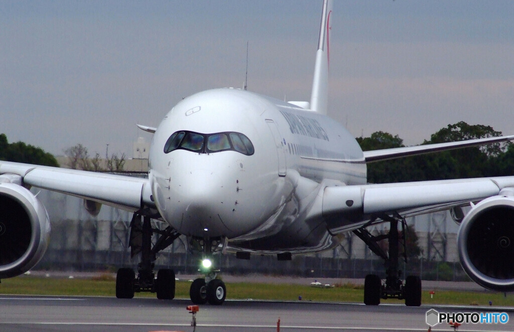 11月の翼✈Airbus350-900