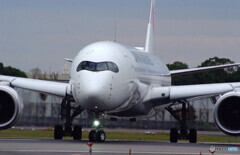 11月の翼✈Airbus350-900