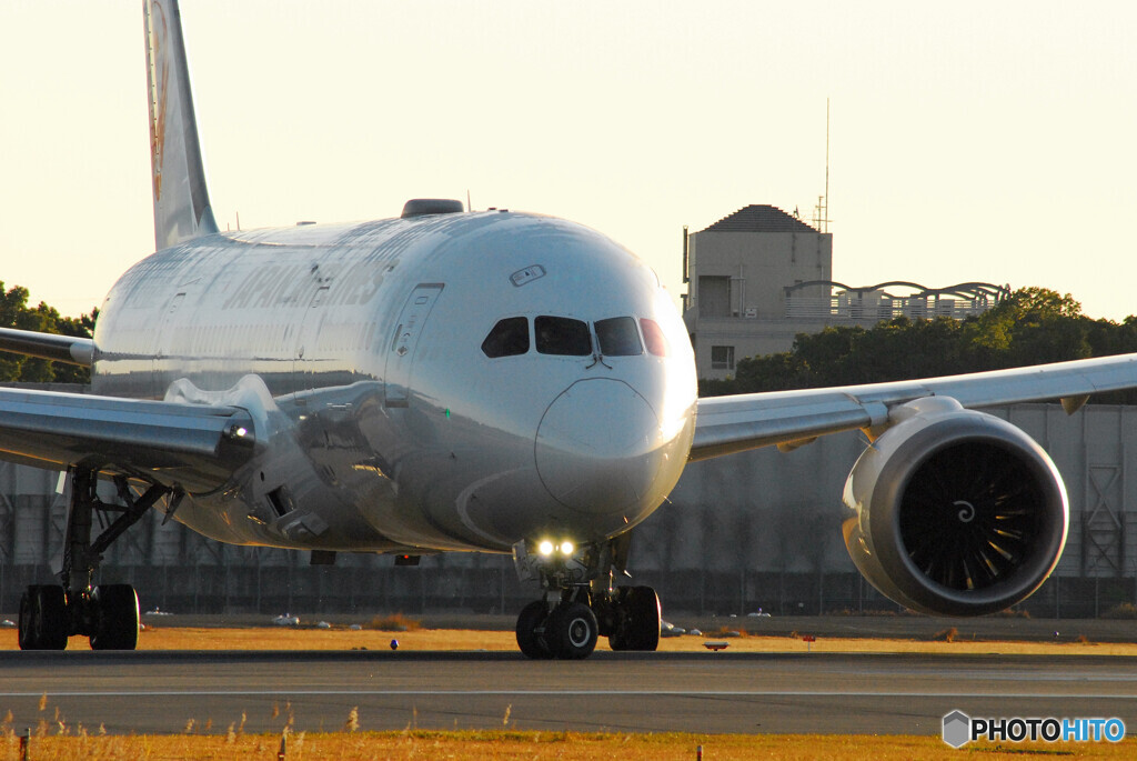 December Morning✈Boeing787-8
