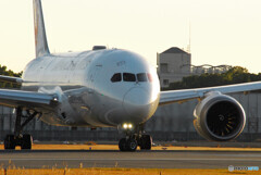 December Morning✈Boeing787-8