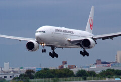 Happy Saturday✈777