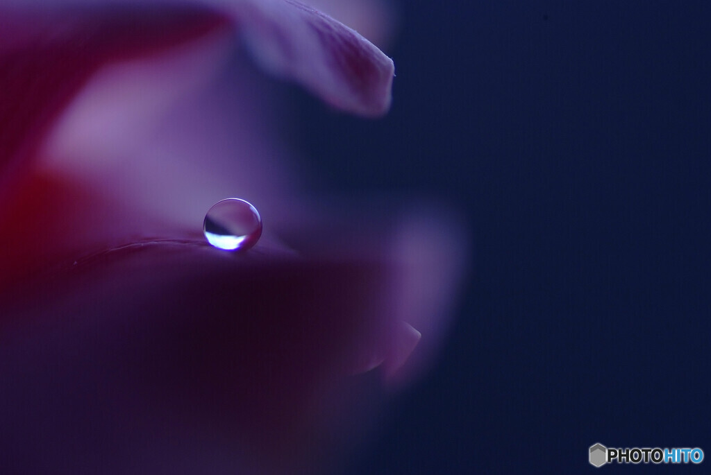 Eternal Ｍoon✾想