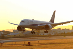 極月の翼✈Boeing 787-8 Dreamliner