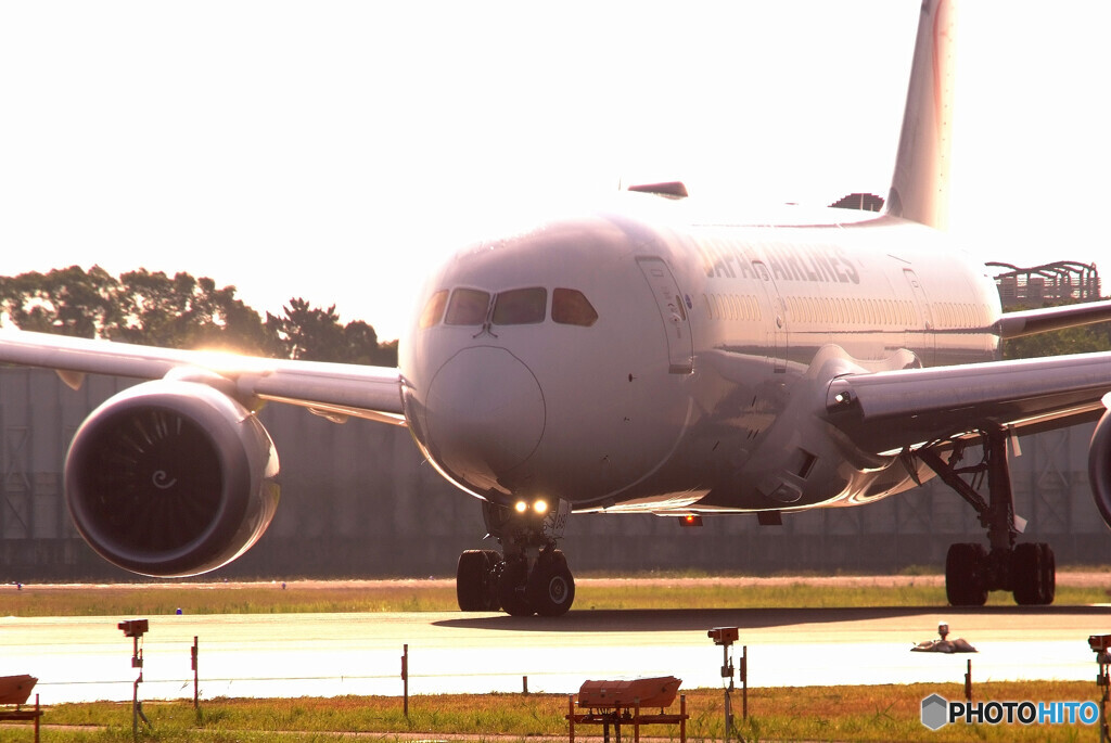 Happy Sunday✈HARADA