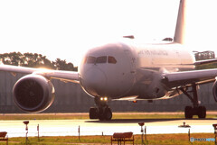 Happy Sunday✈HARADA