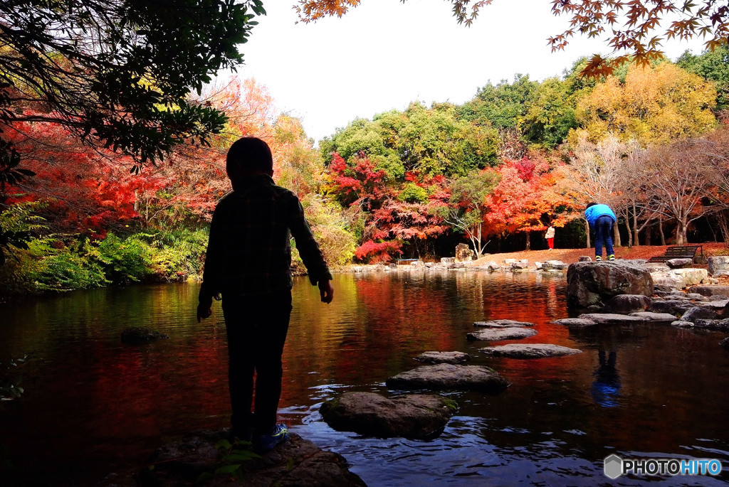 僕の紅葉・2016