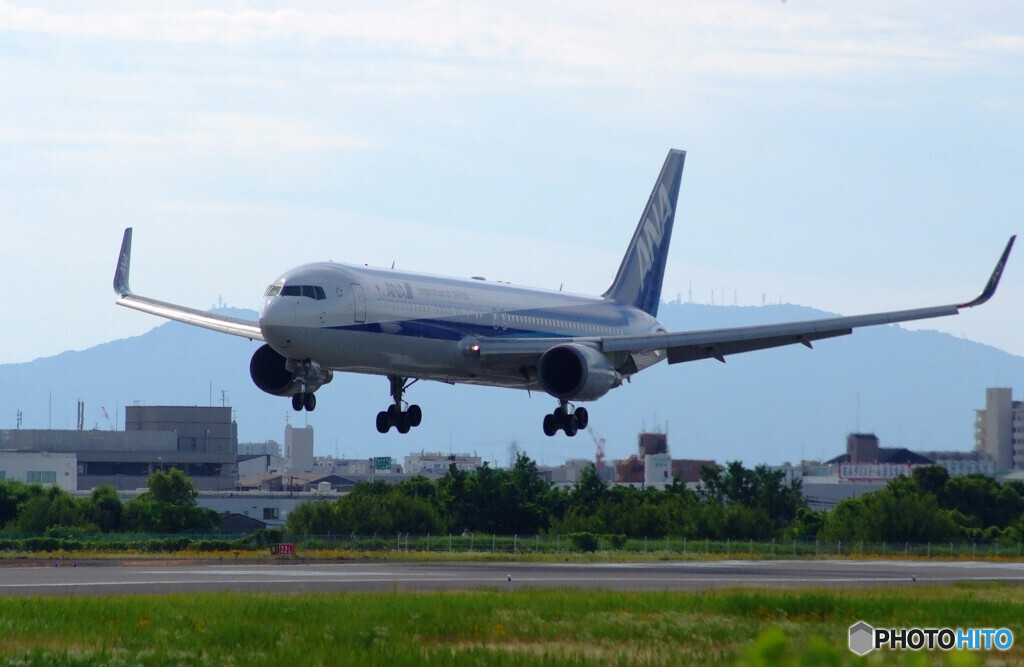 6月の翼✈Boeing767-300