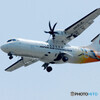 8月の空に鶴が舞う！